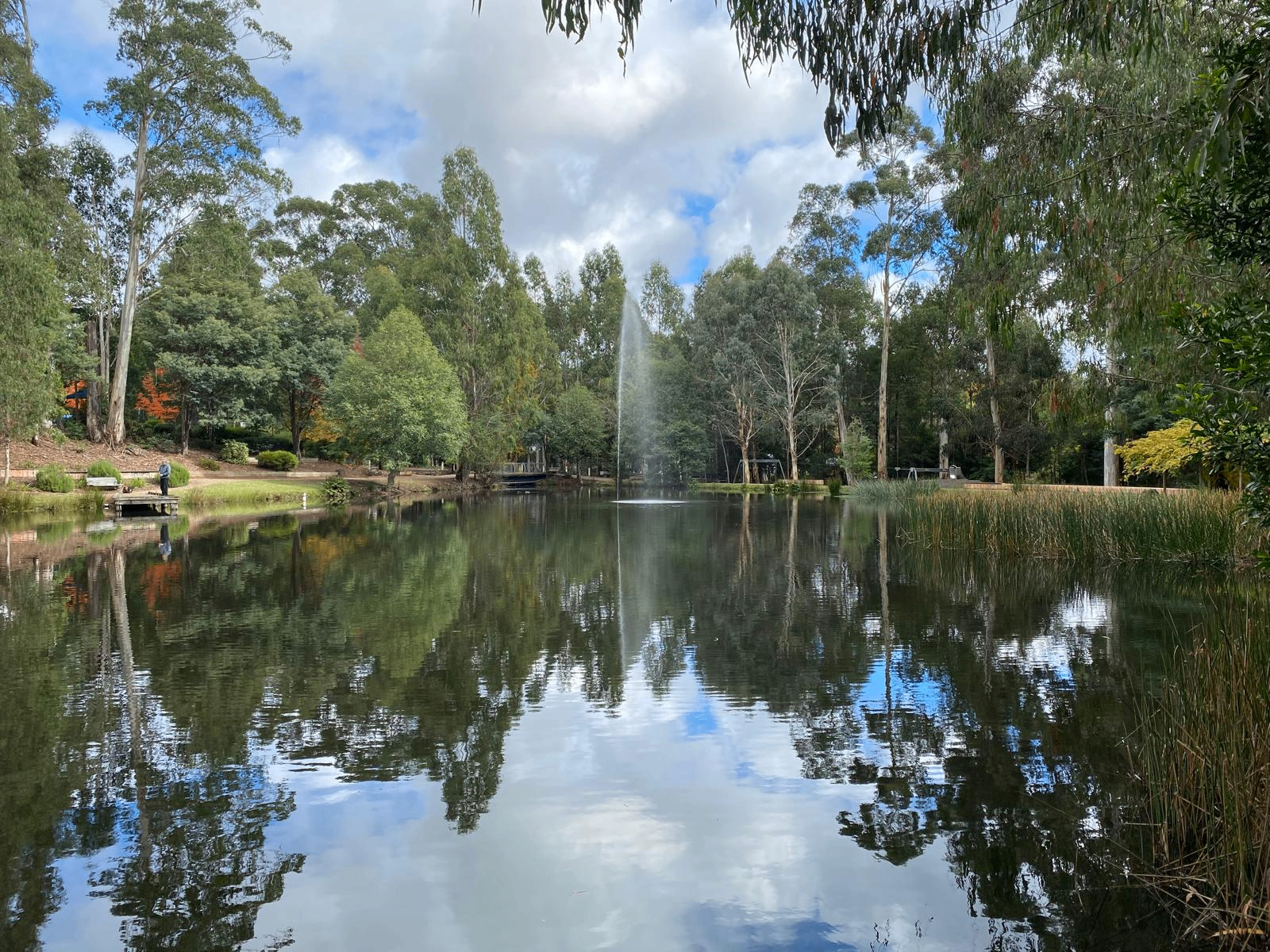 Adcock Park Velodrome Track trail in West Gosford, NSW