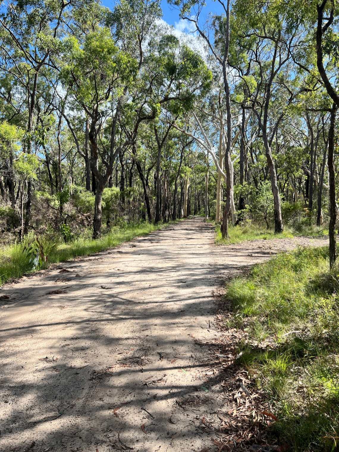 Atherton Tablelands Rail Trail Gravel trail in Atherton, QLD