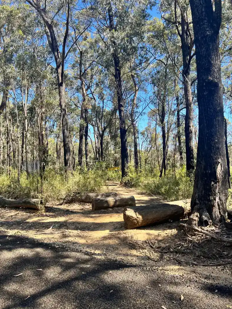 Adelaide Hills Gravel Loops Gravel trail in Adelaide Hills, SA