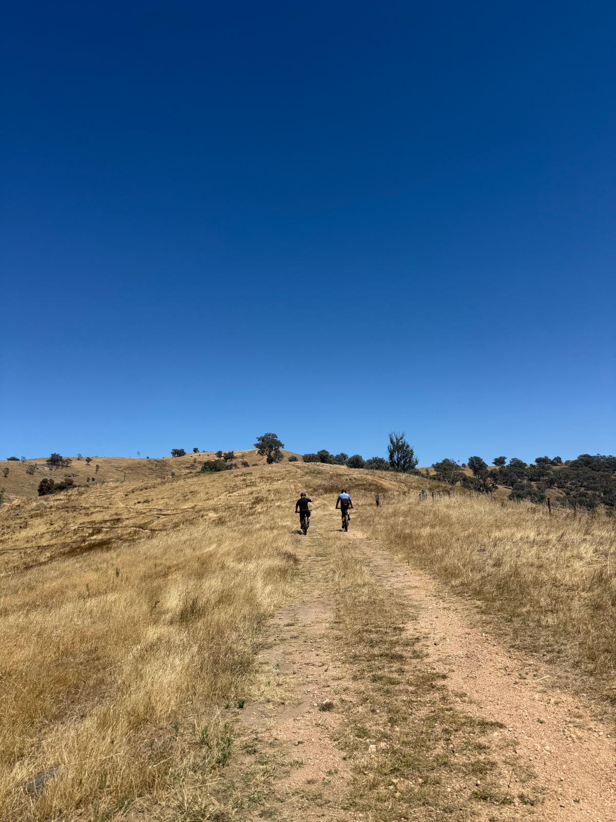 Belair National Park MTB trail in Belair / Adelaide Hills, SA