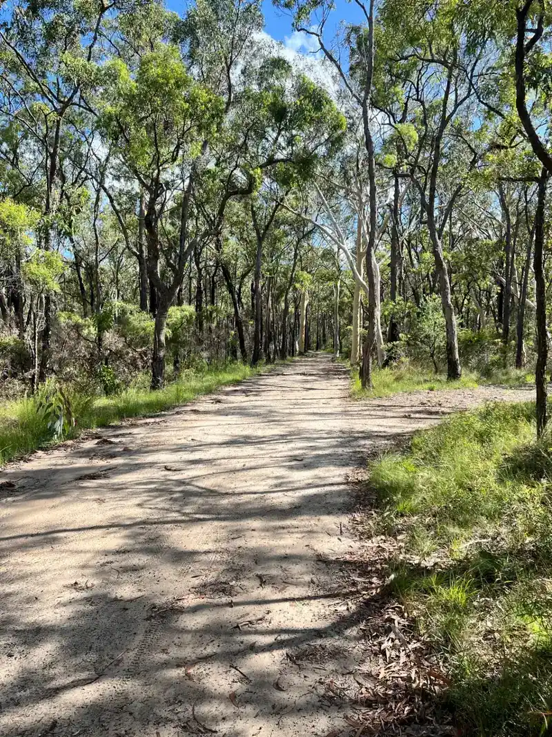 Clarence MTB Park & Meehan Range MTB trail in Hobart & South, TAS