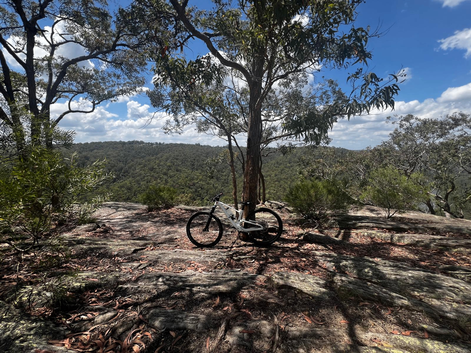 Avon – Mt Hedrick MTB trail in Gippsland, VIC