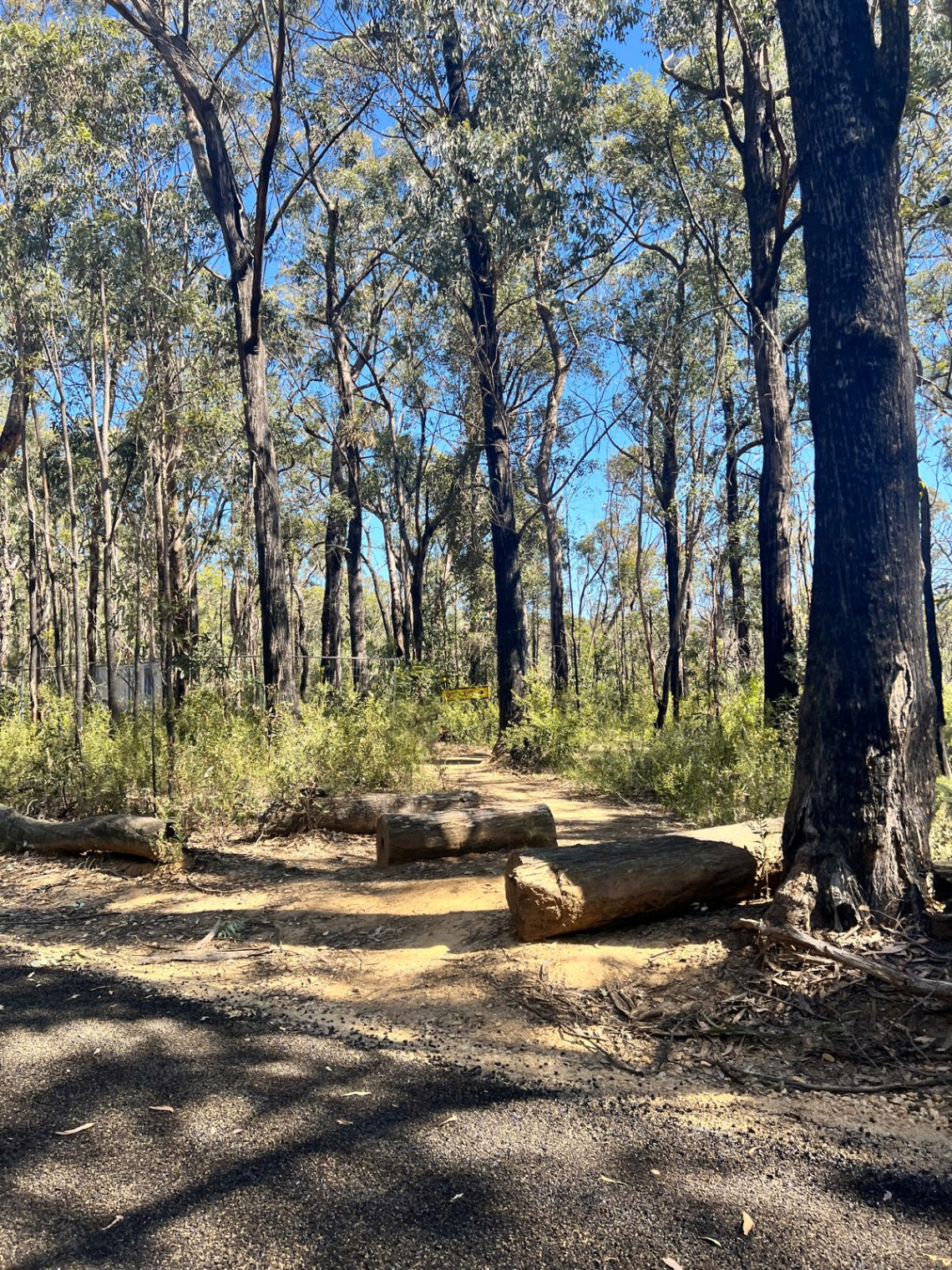 Adelaide Hills Gravel Loops Gravel trail in Adelaide Hills, SA