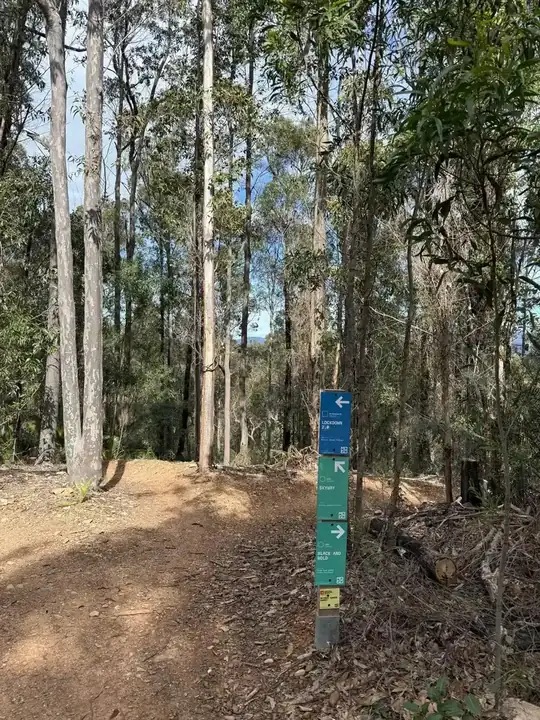 Batemans Bay Mountain Bike Club — cycling club in NSW