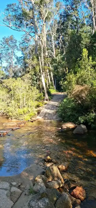 Andersons Trail Gravel trail in Wentworth Falls / Blue Mountains, NSW