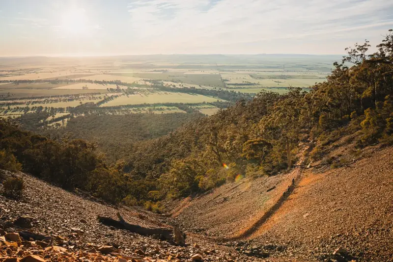 Willowie Forest Trails MTB trail in Southern Flinders Ranges, SA