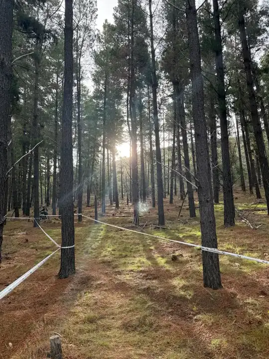 Majura Pines Trails MTB trail in ACT