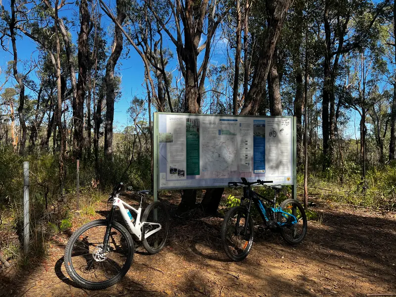 The Oaks Singletrack MTB trail in Glenbrook National Park · Glenbrook National Park, NSW