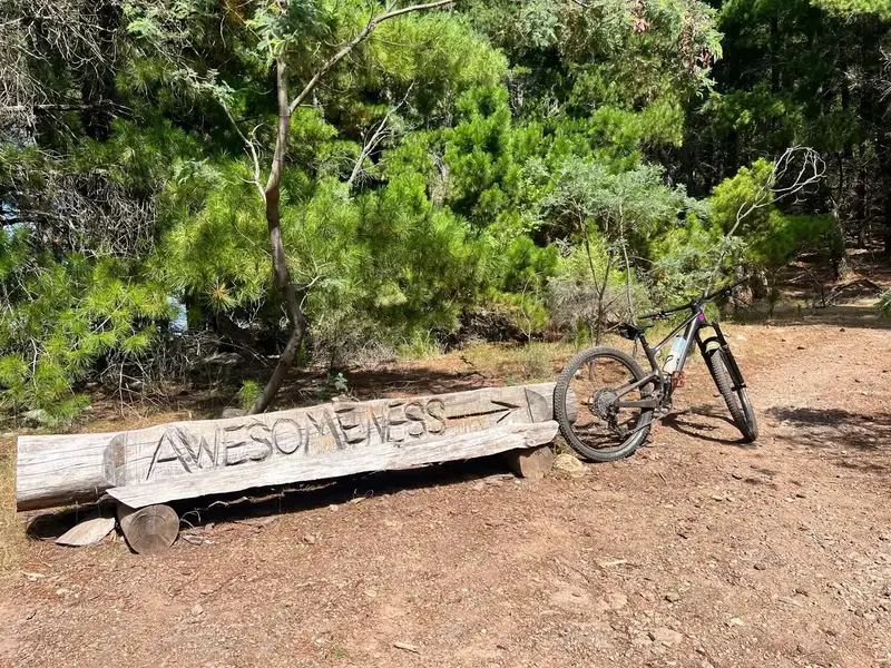 Glenwood Forest Trails MTB, XC, Enduro, Flow trail in Central West, NSW