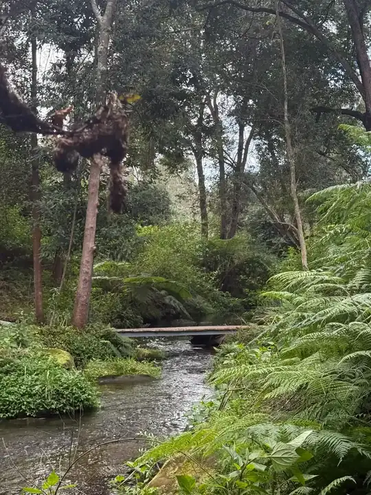 Yellomundee Regional Park MTB trail in Blue Mountains / Western Sydney, NSW