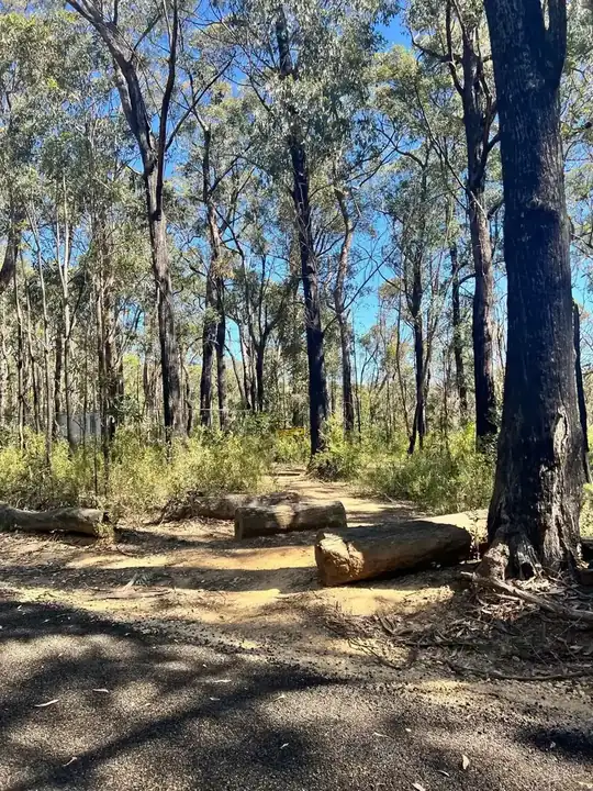 The Oaks fire trail (Woodford to Glenbrook) Gravel, MTB trail in Woodford-Glenbrook / Blue Mountains, NSW