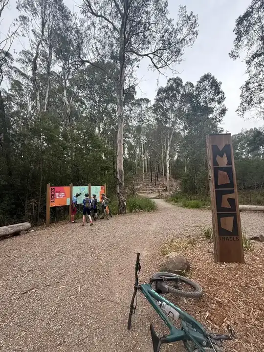 Mogo Trails - Zoo MTB trail in Eurobodalla, NSW