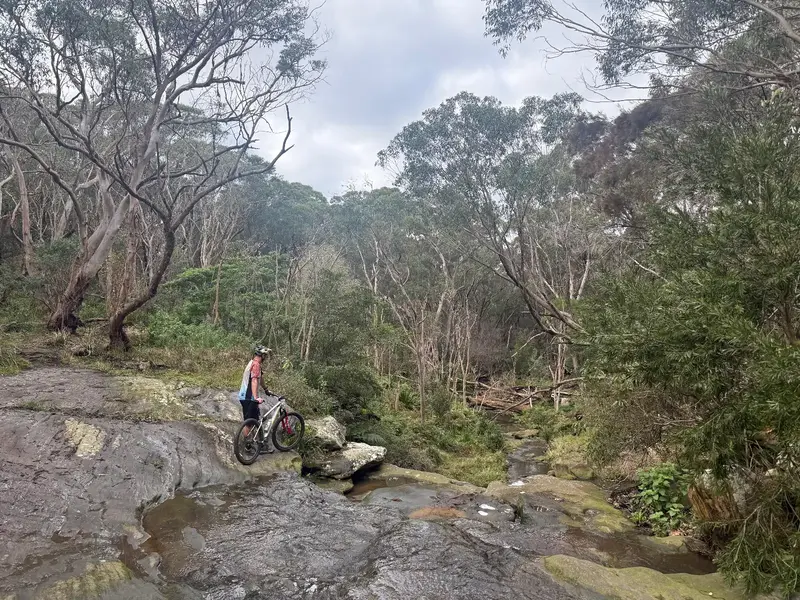 Loftus MTB Network MTB trail in Sydney South, Royal National Park, NSW